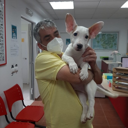 ¡Cheyene adoptado!