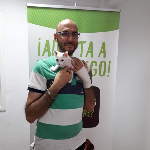 ¡Chimi adoptada!
