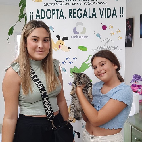 ¡Chocky adoptado!