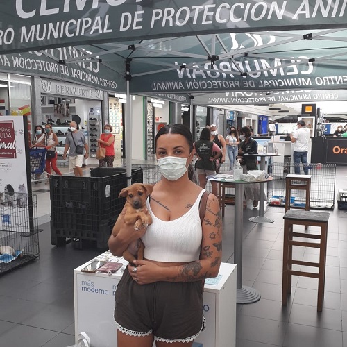 ¡Chucky adoptado!
