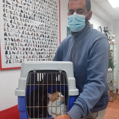 ¡Chumi y Breca adoptados!