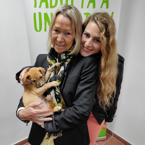 ¡Cinabrio adoptado!