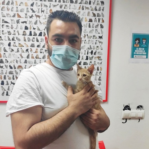 ¡Clavelina adoptada!