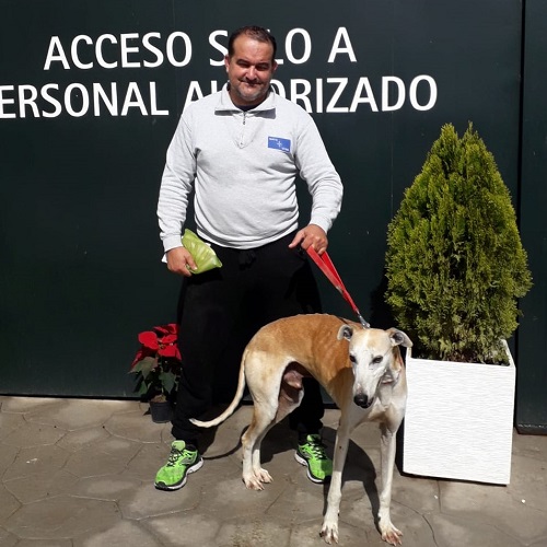 ¡Cocoyoc adoptado!