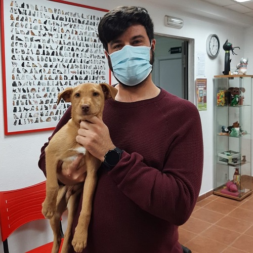 ¡Colombo adoptado!