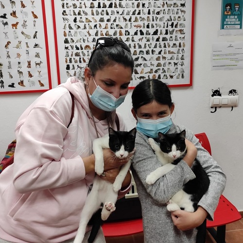 ¡Coquito y Rabito adoptados!