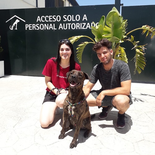 ¡Crevi adoptado!