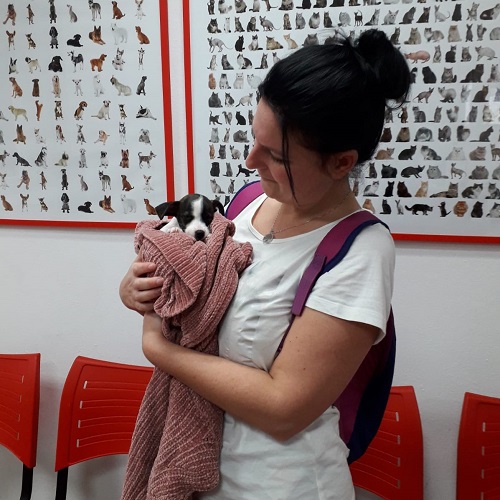 ¡Cuajada adoptada!