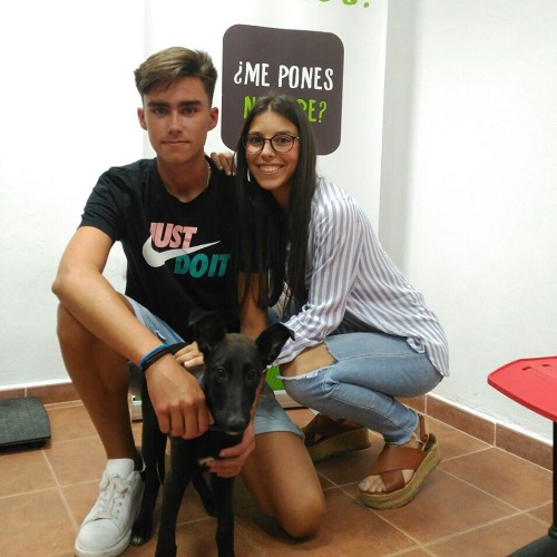 ¡Curiosa adoptada!