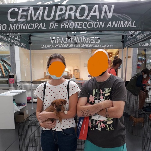 ¡Curruca adoptada!