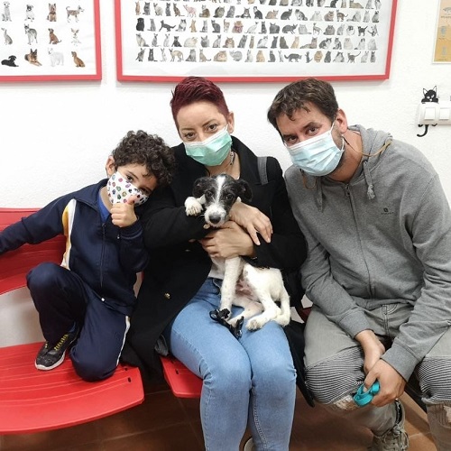 ¡Currucuki adoptado!