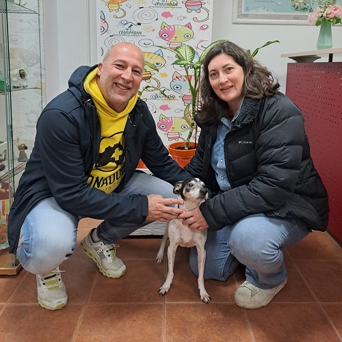 ¡Dankke adoptado!