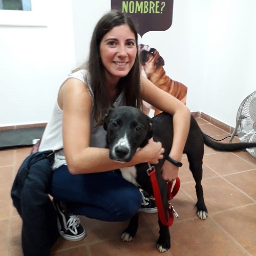¡Derek adoptado!