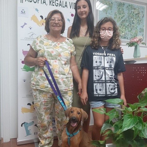 ¡Dhara adoptada!