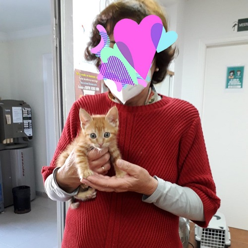 ¡Día 6 adoptado!