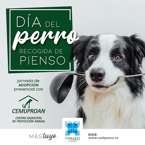 Dog day in CC EL PASEO