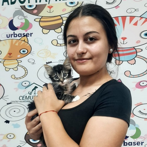 ¡Dinarama adoptada!