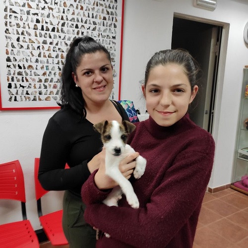 ¡Doello adoptado!