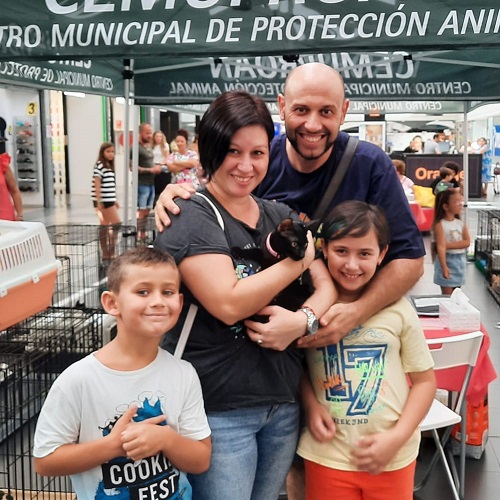 ¡Doha adoptada!