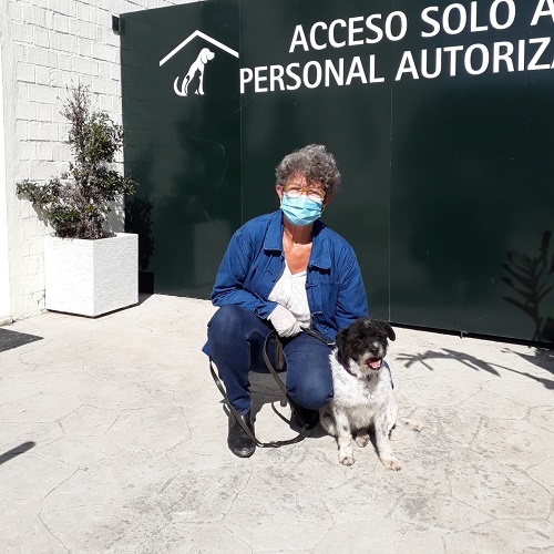 ¡Dolly adoptada!
