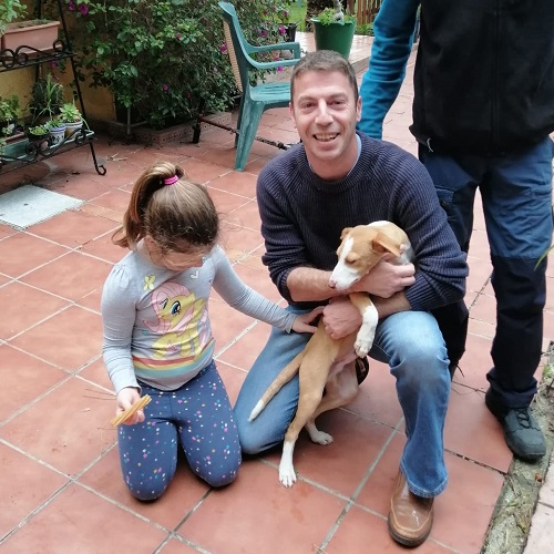 ¡Donut adoptado!