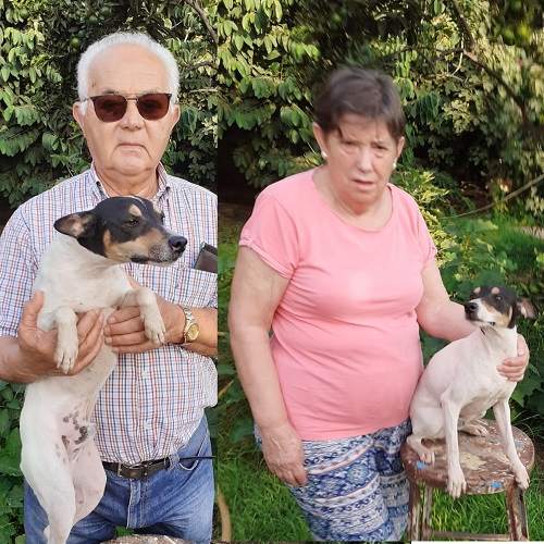 ¡Dumbo adoptado!