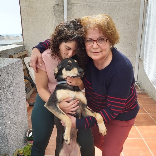 ¡Duna adoptada!