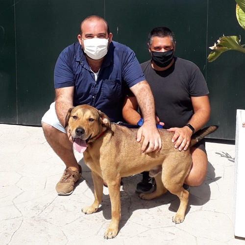 ¡Duncan adoptado!