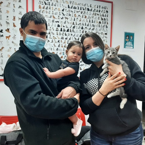 ¡Estopa adoptado!