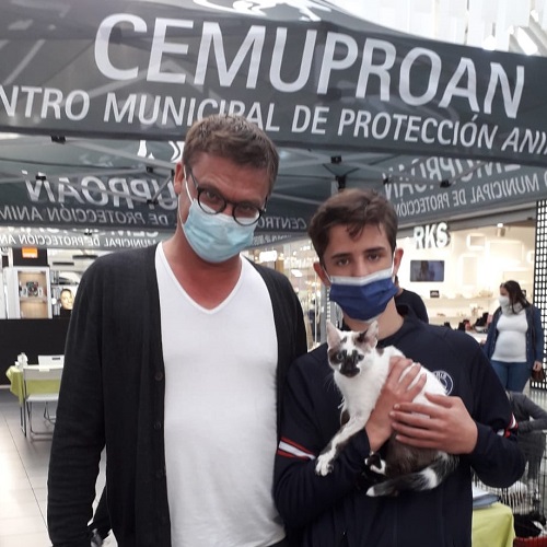 ¡Estrada adoptado!