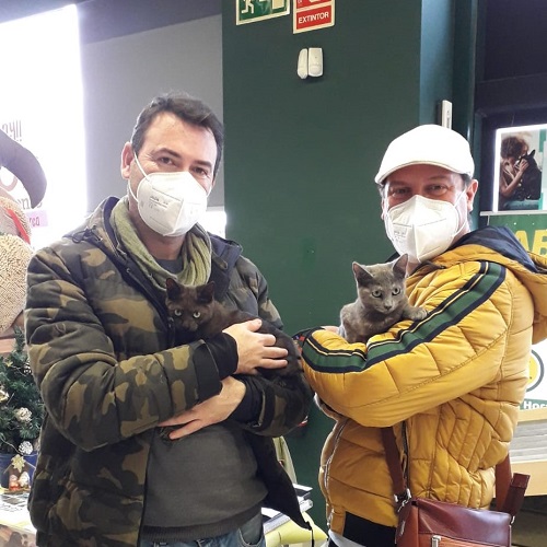 ¡Farid y Focha adoptados!