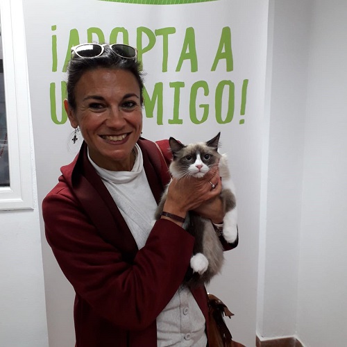¡Fawn adoptado!