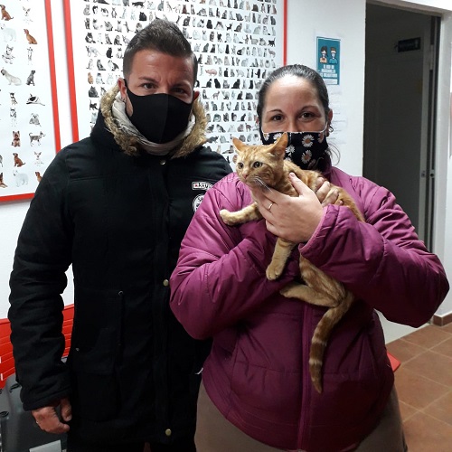 ¡Federico1 adoptado!
