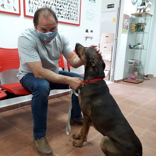 ¡Fenicio adoptado!