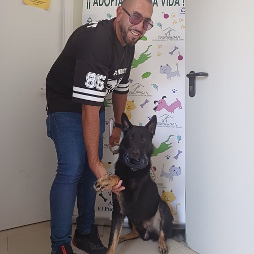 ¡Fígaro adoptado!