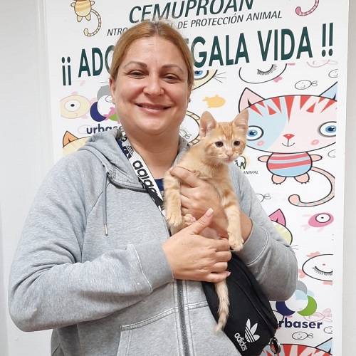 ¡Fonteo adoptado!