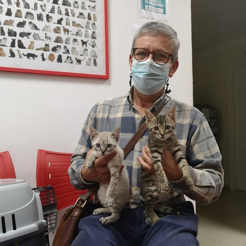¡Fujitsu y Alfalfa adoptados!