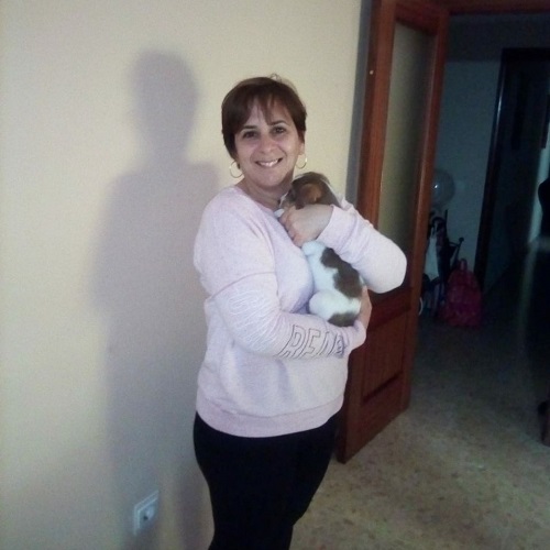 ¡Gachet adoptado!