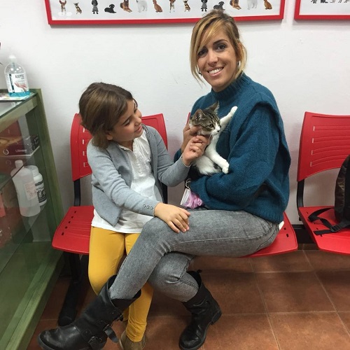 ¡Gakpo adoptado!