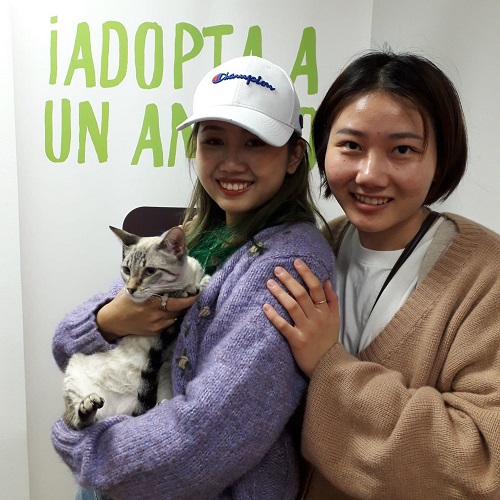 ¡Galup adoptado!