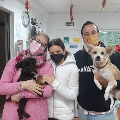 ¡Gaspá adoptado!