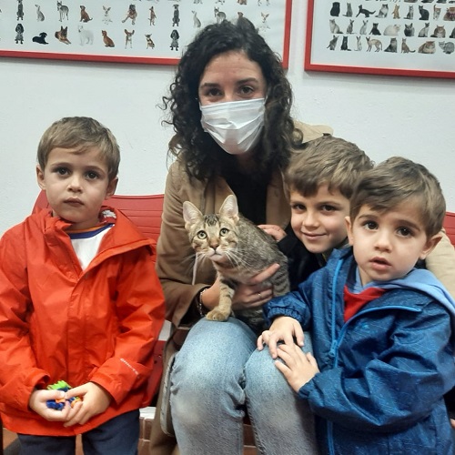 ¡Gatito Milo adoptado!