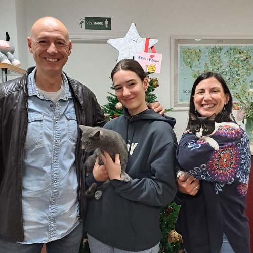 ¡Generalife y Levantina adoptados!