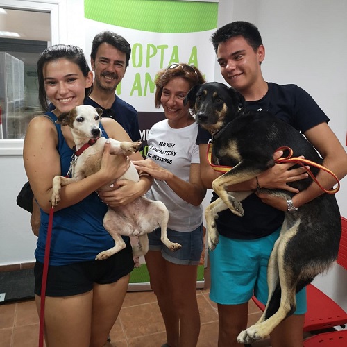 ¡Georgia adoptada!