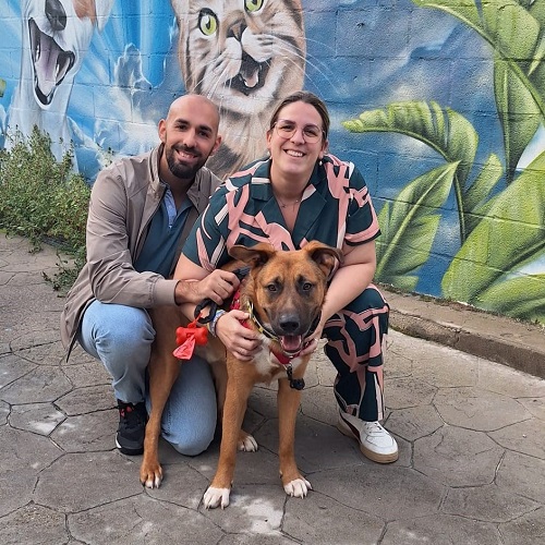 ¡Gildor adoptado!
