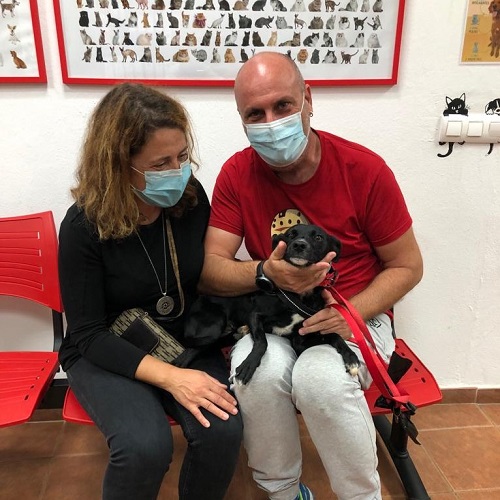 ¡Gineta adoptada!