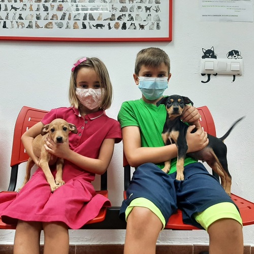 ¡Gioconda y Serrat adoptados!