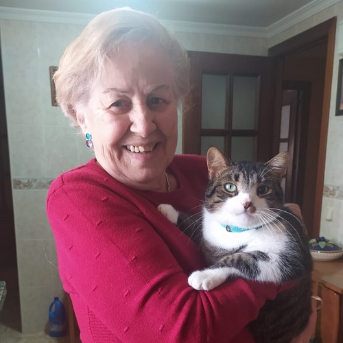 ¡Gordi adoptado!