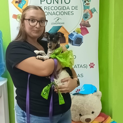 ¡Haku adoptado!