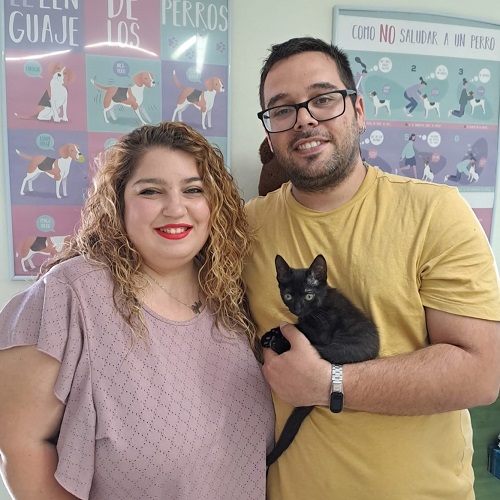 ¡Haleth adoptedo!